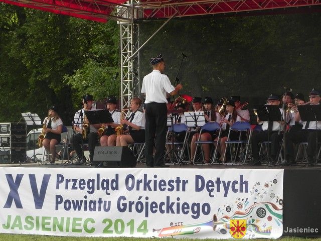 przegląd orkiestr 2014 054.jpg