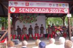 seniorada 2017 (189)