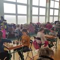 turniej szachowy 2019 03 02 (1)