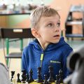 turniej szachowy 2019 03 02 (50)