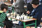 turniej szachowy 2019 03 02 (57)